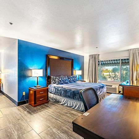 Tempe Corner Apartment Studio King Bed Exteriör bild